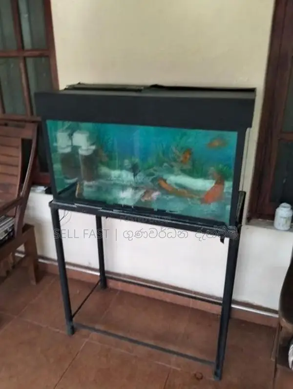 Fish Tank