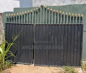 Steel Door