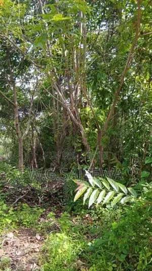 37.8 Perch Land for Sale in Kandawala