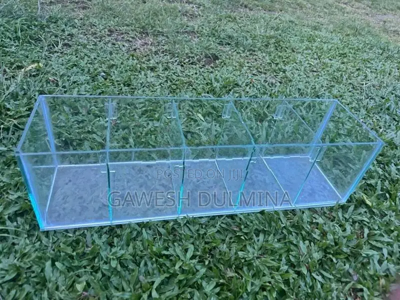 Fish Tank