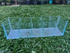 Fish Tank