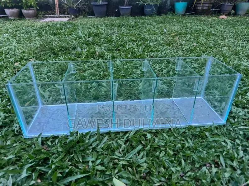 Fish Tank
