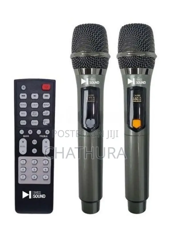 Swiss Sound JBL Party Box