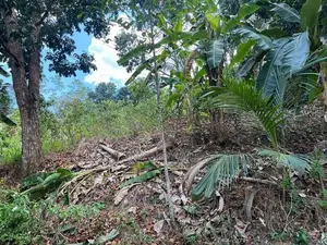 (NL615) 360Perch Land for Sale in Kamburupitiya