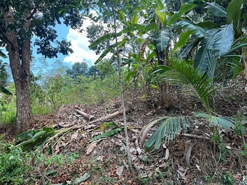 (NL615) 360Perch Land for Sale in Kamburupitiya