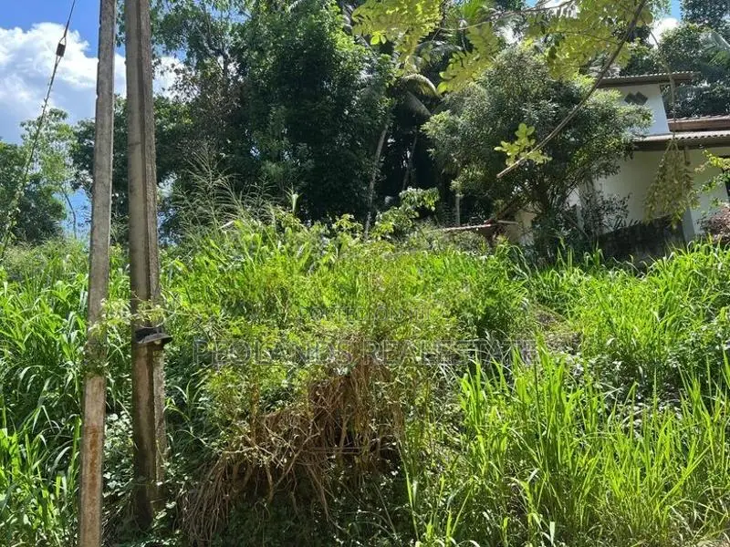 (NL615) 360Perch Land for Sale in Kamburupitiya