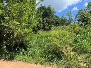 (NL615) 360Perch Land for Sale in Kamburupitiya