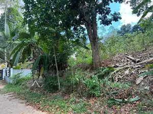 (NL615) 360Perch Land for Sale in Kamburupitiya