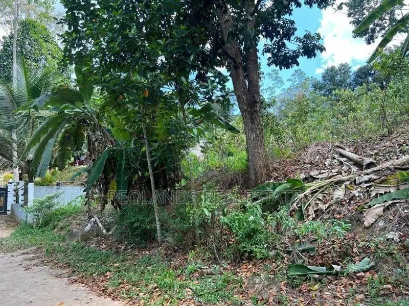 (NL615) 360Perch Land for Sale in Kamburupitiya