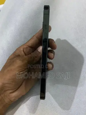 Apple iPhone 13 Pro (Used)