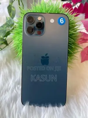 Apple iPhone 12 Pro 256GB (Used)