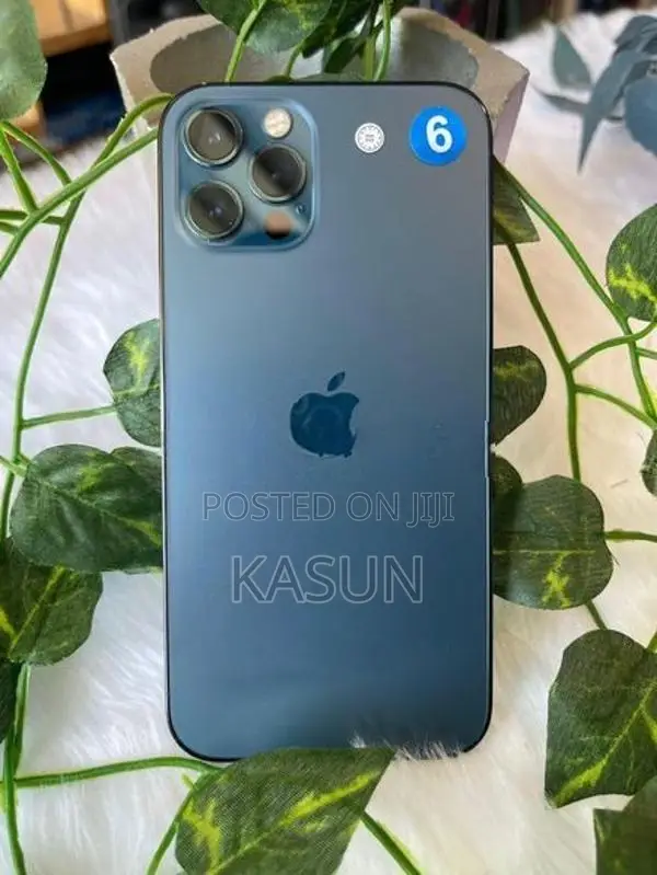 Apple iPhone 12 Pro 256GB (Used)
