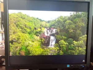 19” NEC Monitor