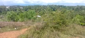 Land for Sale රයිගම