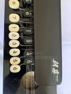 Japan Mandolin