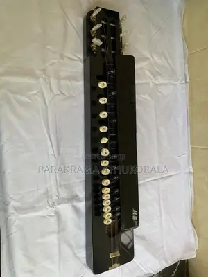 Japan Mandolin
