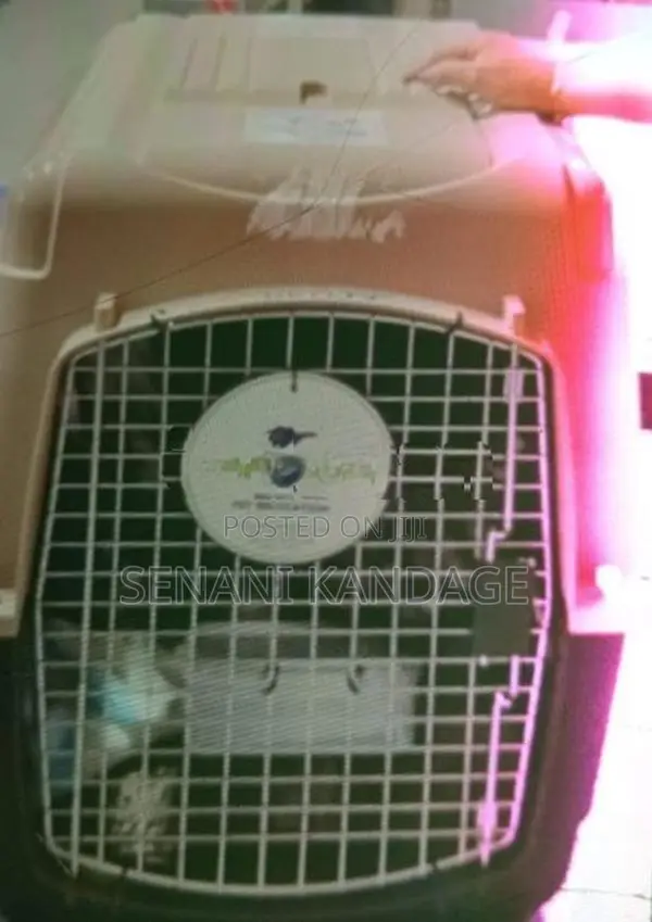 Dog Crate