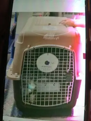 Dog Crate