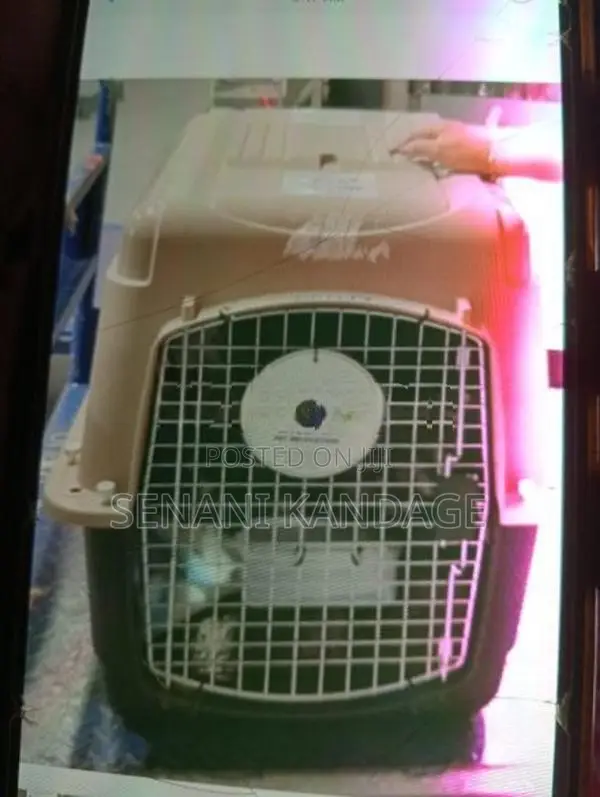 Dog Crate