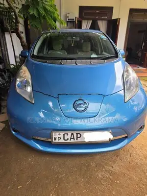 Nissan Leaf 2013