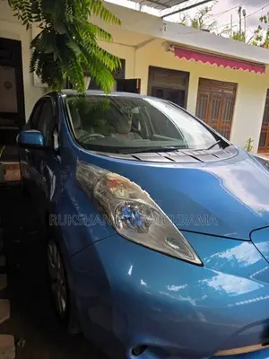 Nissan Leaf 2013