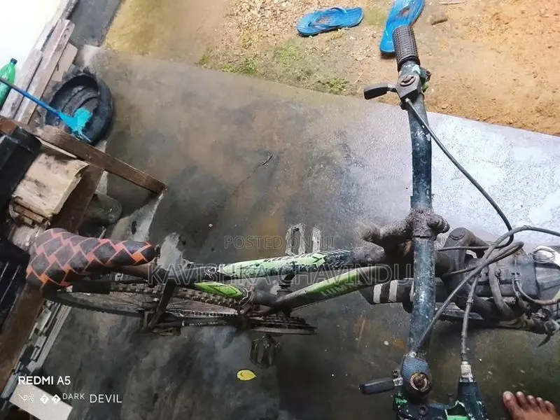 Lumala Gear Bicycle