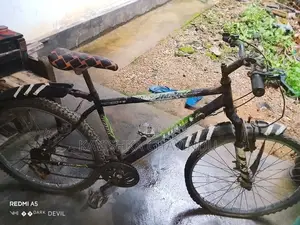 Lumala Gear Bicycle