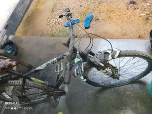 Lumala Gear Bicycle