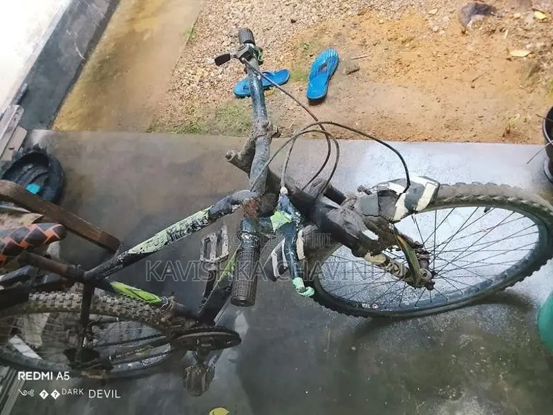 Lumala Gear Bicycle