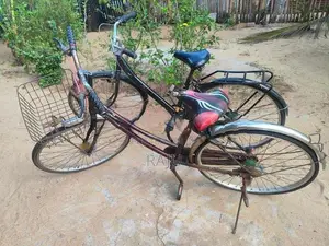 2 bicycle
