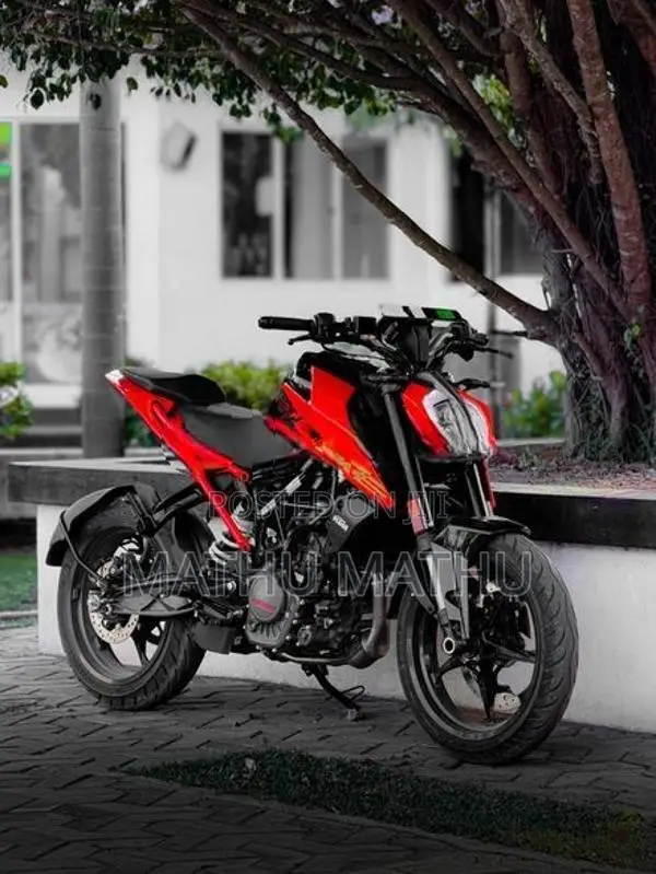 KTM Duke 2026