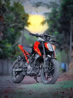 KTM Duke 2026