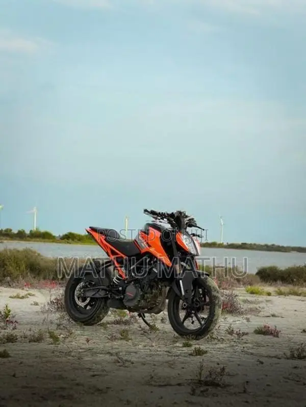 KTM Duke 2026