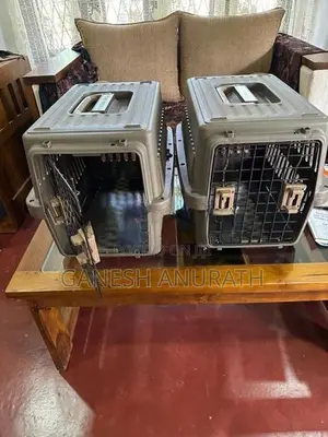 Pet Boxes
