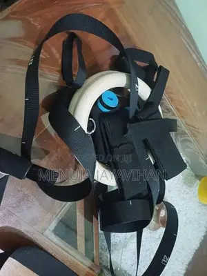 Full Body Workout Calisthenic Rings