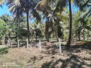කුරුණෑගල අනුරාධපුර පාරට මුහුණලා ඉඩමක්