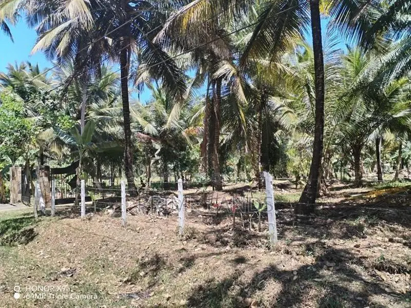 කුරුණෑගල අනුරාධපුර පාරට මුහුණලා ඉඩමක්