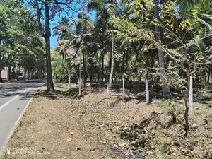 කුරුණෑගල අනුරාධපුර පාරට මුහුණලා ඉඩමක්