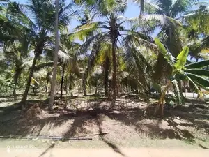 කුරුණෑගල අනුරාධපුර පාරට මුහුණලා ඉඩමක්