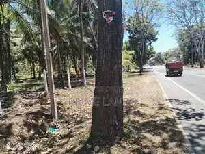 කුරුණෑගල අනුරාධපුර පාරට මුහුණලා ඉඩමක්