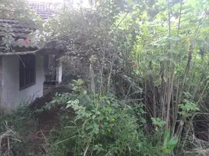 මොනරාගල ප්‍රදේශයේ ඉඩම සමග කුඩා නිවස