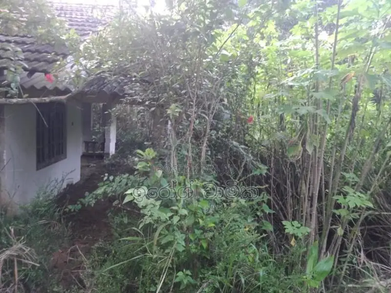 මොනරාගල ප්‍රදේශයේ ඉඩම සමග කුඩා නිවස