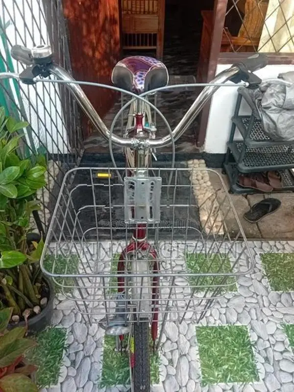 Bicycle