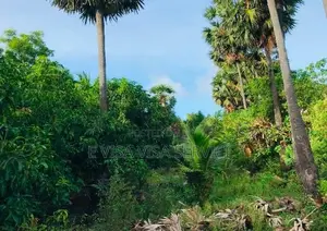 இருபாலை காணி விற்பனைக்கு Jaffna