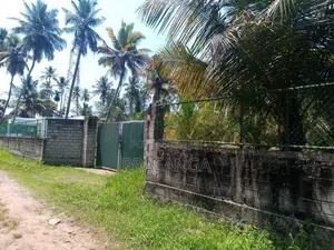 Land for Sale in Pamunugama