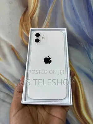 Apple iPhone 12 (Used)
