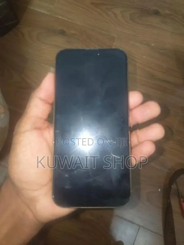 Apple iPhone 16 Pro Max (Used)