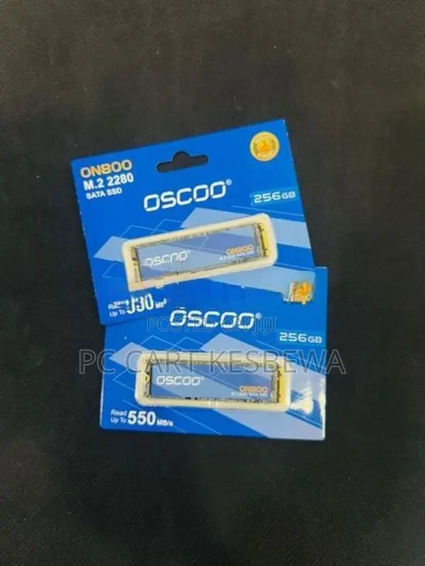 OSCOO 256GB PCIe NVMe SSD