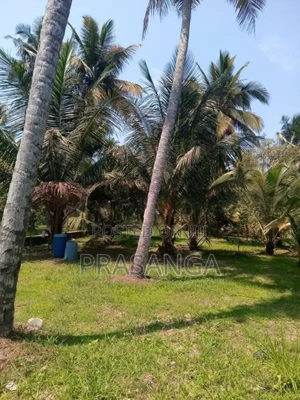 Land for Sale in Pamunugama