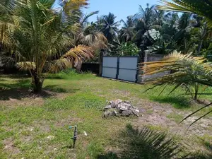 Land for Sale in Pamunugama